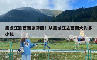 黑龙江到西藏旅游团？从黑龙江去西藏大约多少钱