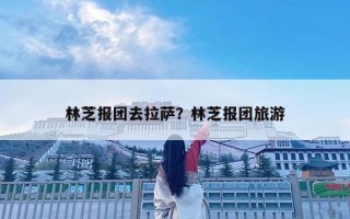 林芝报团去拉萨？林芝报团旅游