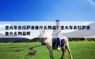 坐火车去拉萨准备什么物品？坐火车去拉萨准备什么物品呢