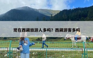 现在西藏旅游人多吗？西藏游客多吗