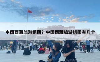 中国西藏旅游组团？中国西藏旅游组团有几个