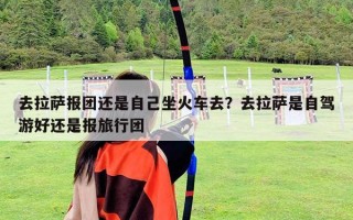 去拉萨报团还是自己坐火车去？去拉萨是自驾游好还是报旅行团