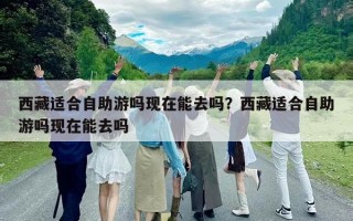 西藏适合自助游吗现在能去吗？西藏适合自助游吗现在能去吗