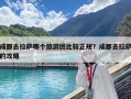 成都去拉萨哪个旅游团比较正规？成都去拉萨的攻略