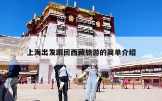 上海出发跟团西藏旅游的简单介绍