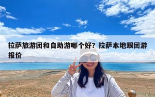 拉萨旅游团和自助游哪个好？拉萨本地跟团游报价