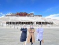 阿里旅游费用明细表？阿里旅游app