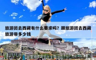 旅游团去西藏有什么要求吗？跟旅游团去西藏旅游带多少钱