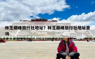 林芝巅峰旅行社地址？林芝巅峰旅行社地址查询