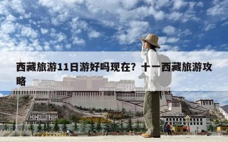 西藏旅游11日游好吗现在？十一西藏旅游攻略