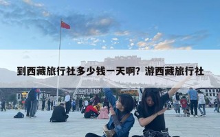 到西藏旅行社多少钱一天啊？游西藏旅行社