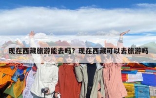 现在西藏旅游能去吗？现在西藏可以去旅游吗