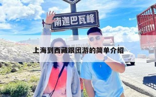 上海到西藏跟团游的简单介绍