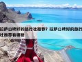 拉萨口碑好的旅行社推荐？拉萨口碑好的旅行社推荐有哪些