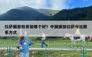 拉萨国旅和青旅哪个好？中国国旅拉萨分社联系方式