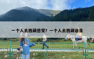 一个人去西藏感受？一个人去西藏语录