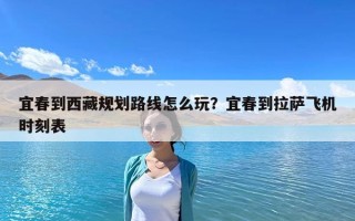 宜春到西藏规划路线怎么玩？宜春到拉萨飞机时刻表