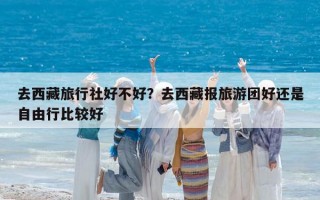 去西藏旅行社好不好？去西藏报旅游团好还是自由行比较好