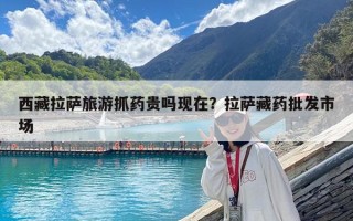 西藏拉萨旅游抓药贵吗现在？拉萨藏药批发市场