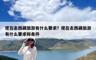 现在去西藏旅游有什么要求？现在去西藏旅游有什么要求和条件