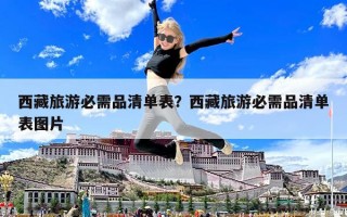 西藏旅游必需品清单表？西藏旅游必需品清单表图片