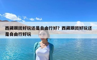 西藏跟团好玩还是自由行好？西藏跟团好玩还是自由行好玩