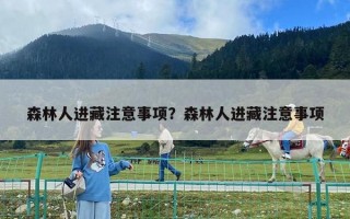 森林人进藏注意事项？森林人进藏注意事项