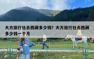 大方旅行社去西藏多少钱？大方旅行社去西藏多少钱一个月