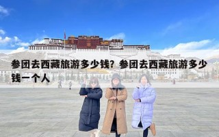 参团去西藏旅游多少钱？参团去西藏旅游多少钱一个人