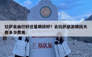 拉萨自由行好还是跟团好？去拉萨旅游跟团大概多少费用