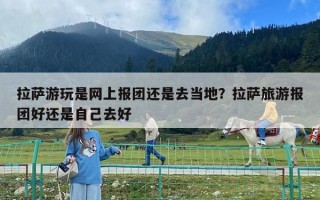 拉萨游玩是网上报团还是去当地？拉萨旅游报团好还是自己去好