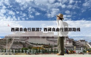 西藏自由行旅游？西藏自由行旅游路线