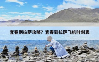 宜春到拉萨攻略？宜春到拉萨飞机时刻表