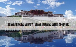 西藏纯玩团团购？西藏纯玩团团购多少钱