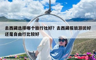 去西藏选择哪个旅行社好？去西藏报旅游团好还是自由行比较好