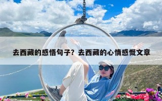 去西藏的感悟句子？去西藏的心情感慨文章