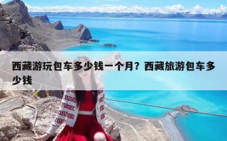 西藏游玩包车多少钱一个月？西藏旅游包车多少钱