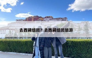 去西藏组团？去西藏组团旅游