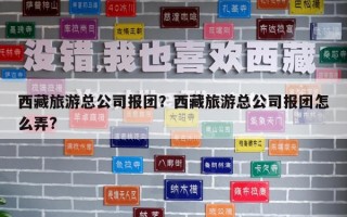 西藏旅游总公司报团？西藏旅游总公司报团怎么弄?