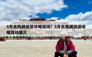 5月去西藏旅游攻略路线？5月去西藏旅游攻略路线图片