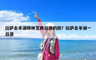 拉萨去羊湖和林芝两日游的团？拉萨去羊湖一日游