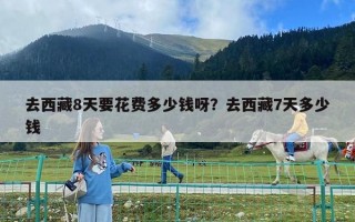 去西藏8天要花费多少钱呀？去西藏7天多少钱