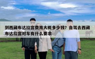 到西藏布达拉宫费用大概多少钱？自驾去西藏布达拉宫对车有什么要求