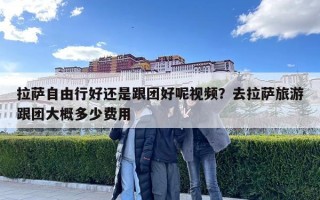 拉萨自由行好还是跟团好呢视频？去拉萨旅游跟团大概多少费用