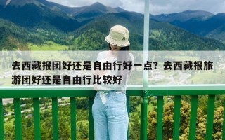 去西藏报团好还是自由行好一点？去西藏报旅游团好还是自由行比较好