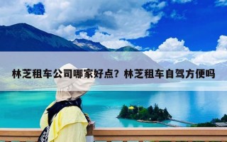 林芝租车公司哪家好点？林芝租车自驾方便吗