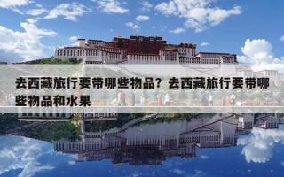 去西藏旅行要带哪些物品？去西藏旅行要带哪些物品和水果