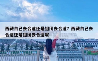 西藏自己去合适还是组团去合适？西藏自己去合适还是组团去合适呢