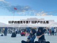 拉萨的烟贵不贵？拉萨产什么烟