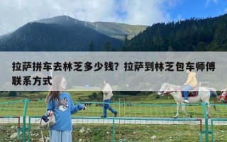 拉萨拼车去林芝多少钱？拉萨到林芝包车师傅联系方式